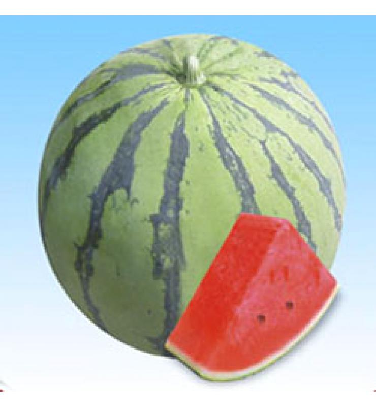 watermelon zaofeng